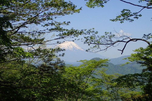 P5200478