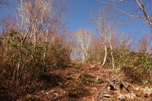 DSC01730