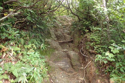 P9160017