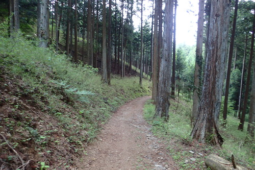 P6101200