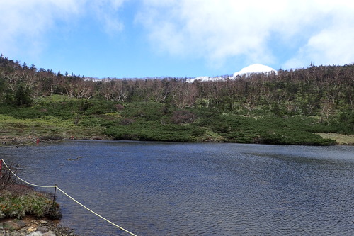 P6040983