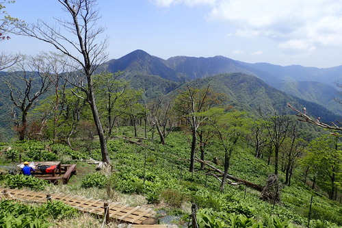 P5200505