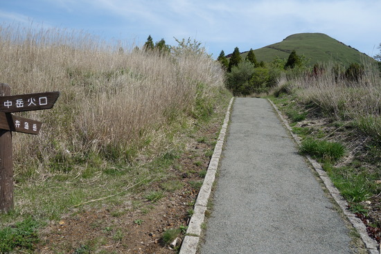 DSC03578