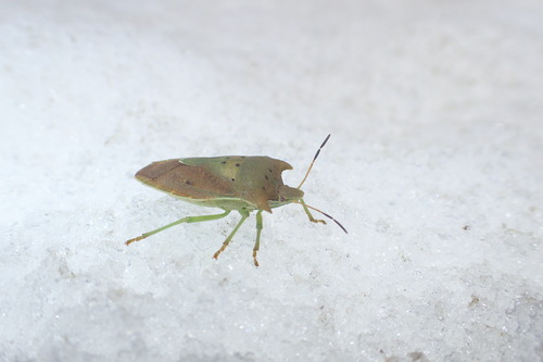 P5050303
