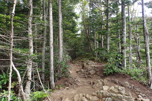 P8261063