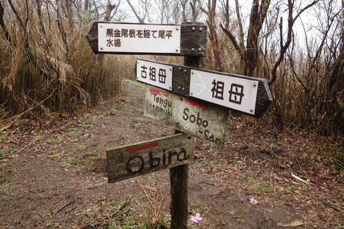 DSC03174