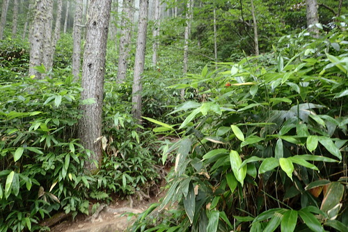 P8150696