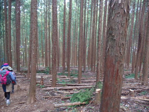 P4300067