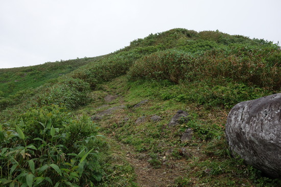 DSC03907