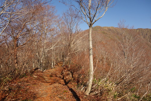 DSC01733