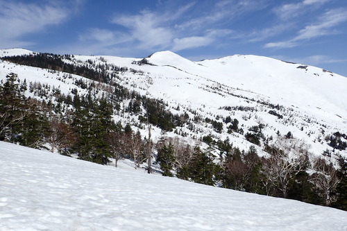 P5050274