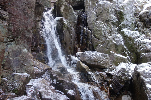 DSC02702