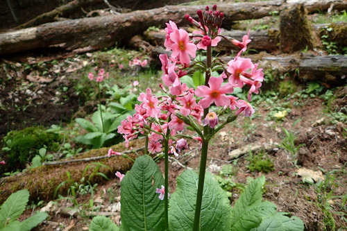 P6101180