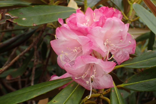 P6040967
