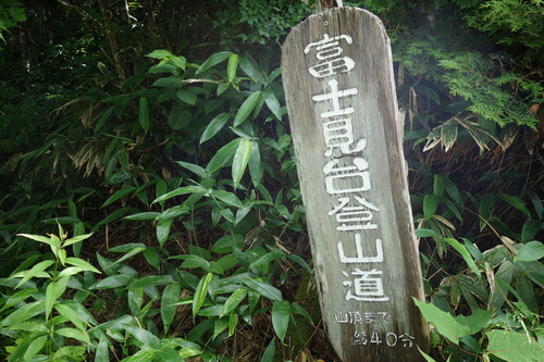 DSC00381