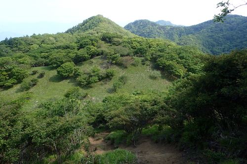 P6101168