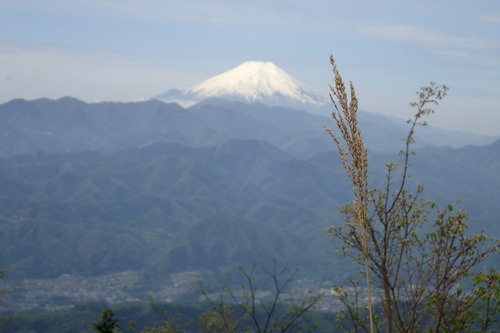P5040184