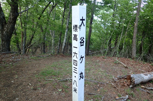 P6101175