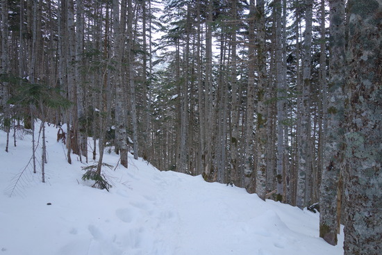 DSC05164