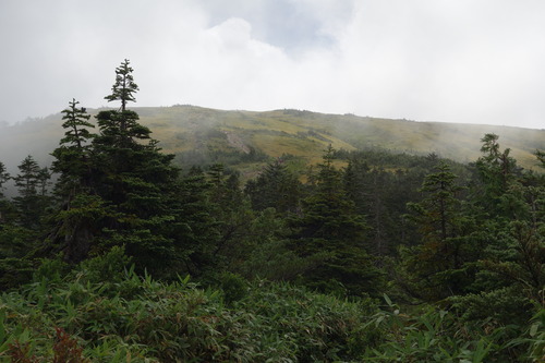 DSC00718