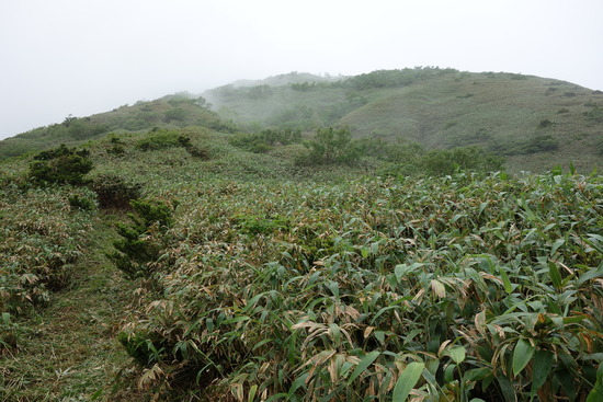 DSC03927