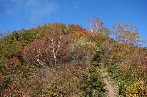 DSC01383