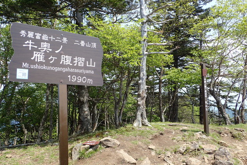 P6101128