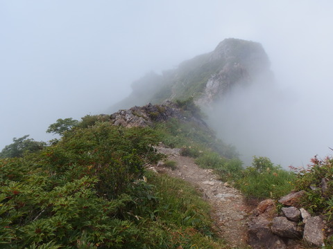 P7162096