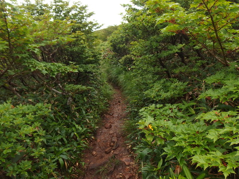 P7172208
