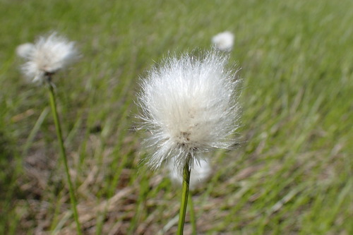 P6041053