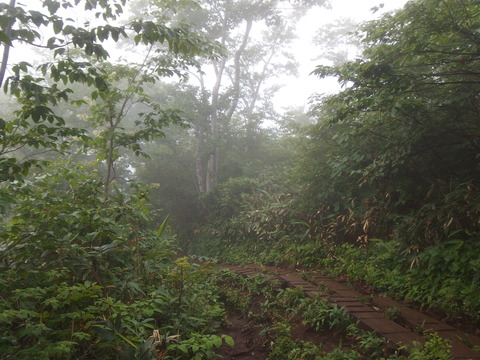P7162107