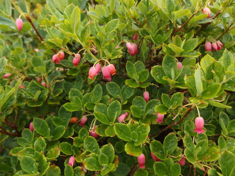 P7172207