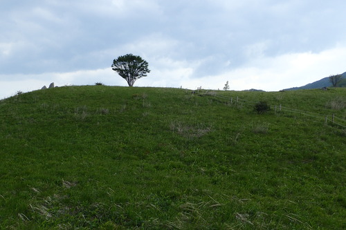 P6101161