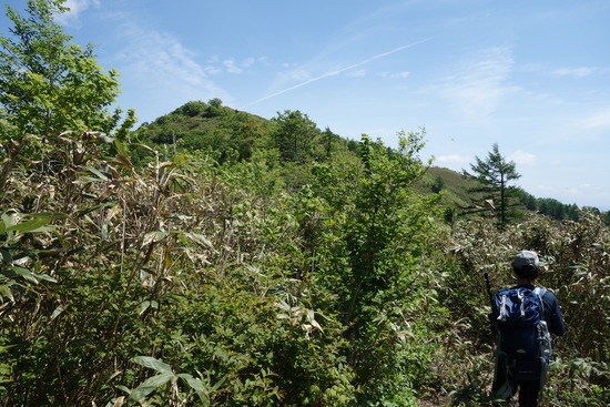 DSC03720