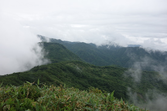 DSC03906
