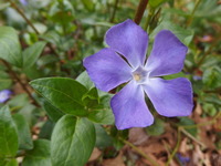 P4091805