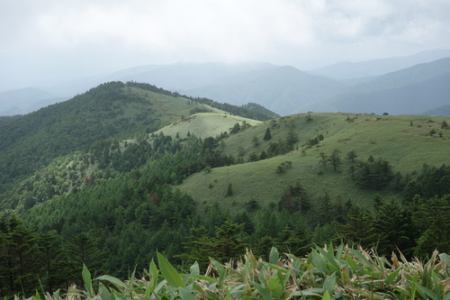 DSC00391