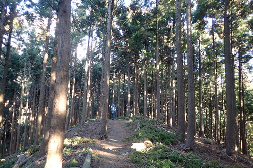 P2120025