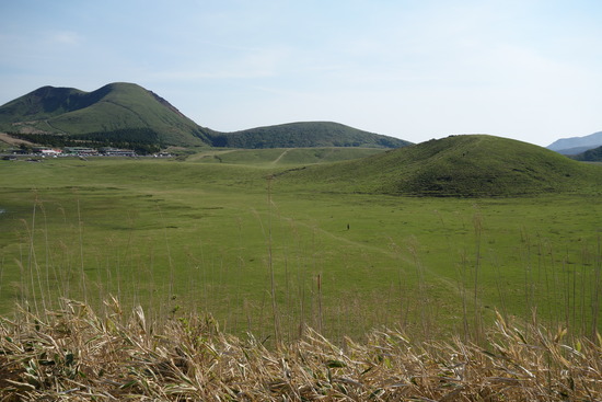 DSC03550