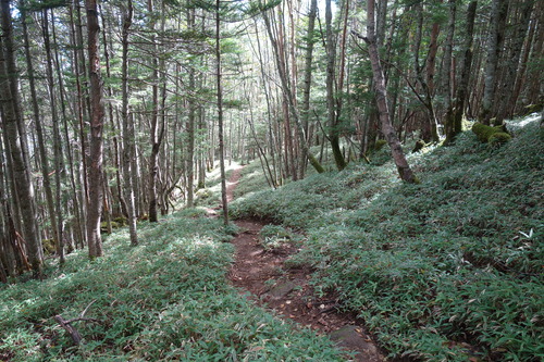 DSC01255