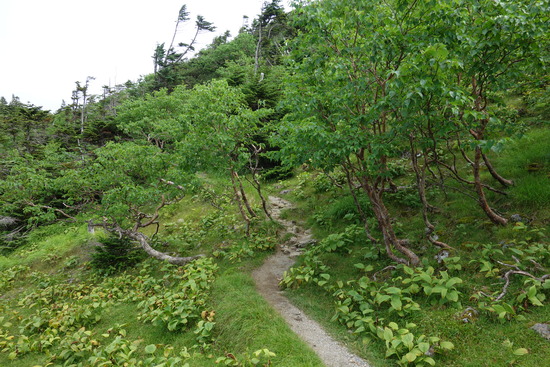 DSC04568