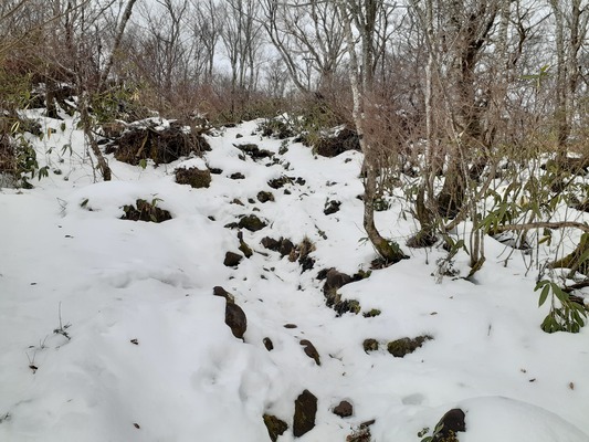 20191219_102429