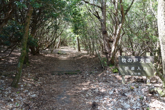 DSC03426
