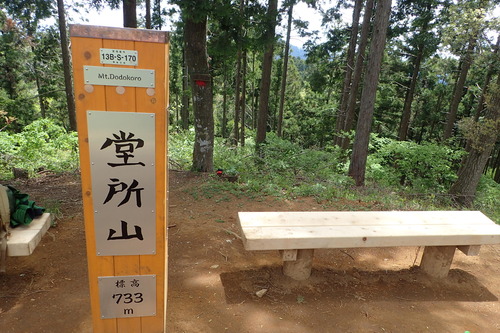 P5040200