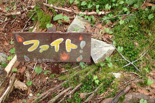 P7081518