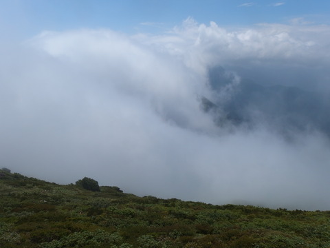 P7162088