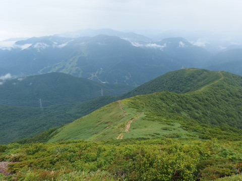 P7172181