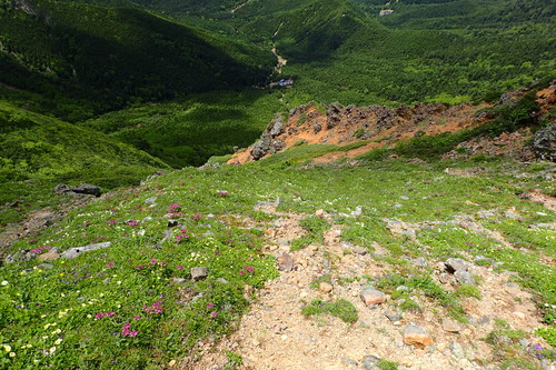 P7150311
