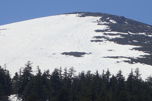 P5050373