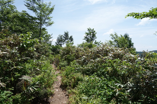 DSC03717